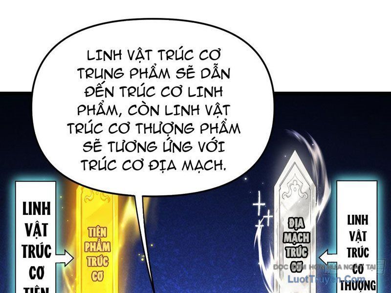 Kim Đan To Bằng Hằng Tinh! Ngươi Gọi Đây Mà Là Tu Tiên Á?! Chapter 9 - Trang 15