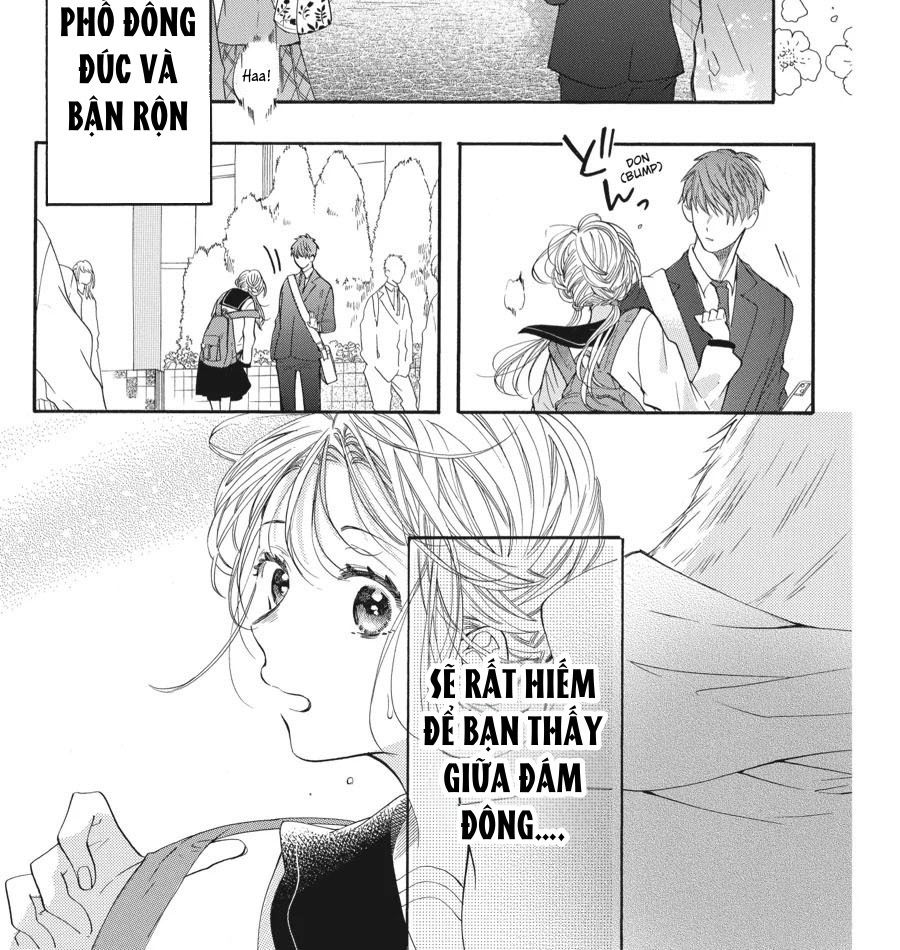 Kimi to Koete Koi ni Naru Chapter 1 - Trang 3