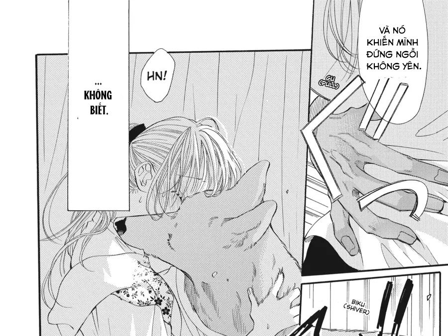 Kimi to Koete Koi ni Naru Chapter 11 - Trang 31