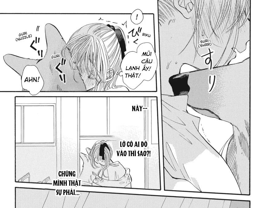 Kimi to Koete Koi ni Naru Chapter 11 - Trang 33