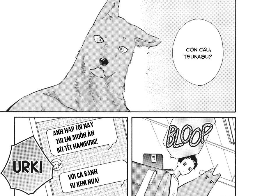 Kimi to Koete Koi ni Naru Chapter 12 - Trang 13