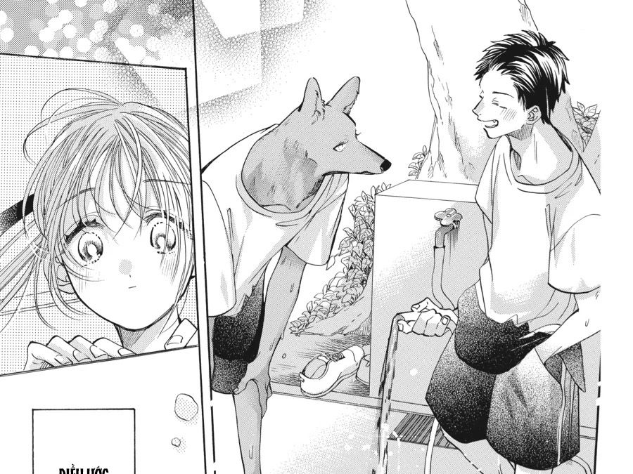 Kimi to Koete Koi ni Naru Chapter 12 - Trang 5