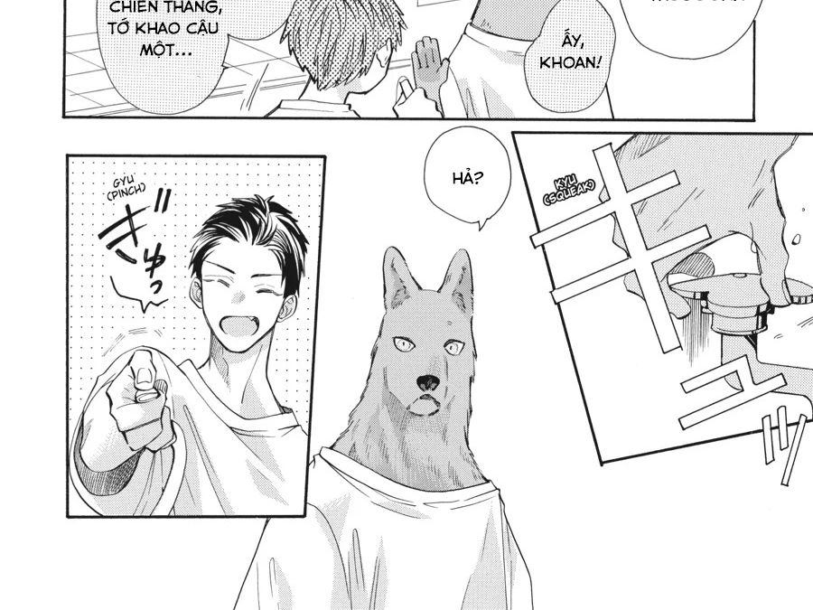Kimi to Koete Koi ni Naru Chapter 12 - Trang 8