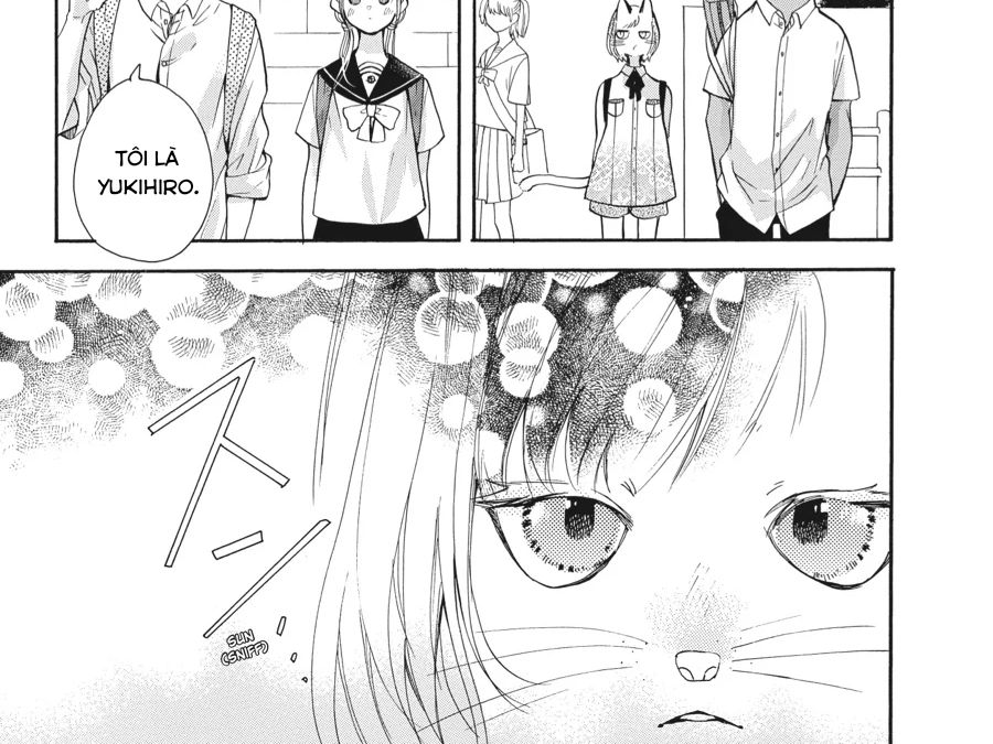 Kimi to Koete Koi ni Naru Chapter 13 - Trang 6