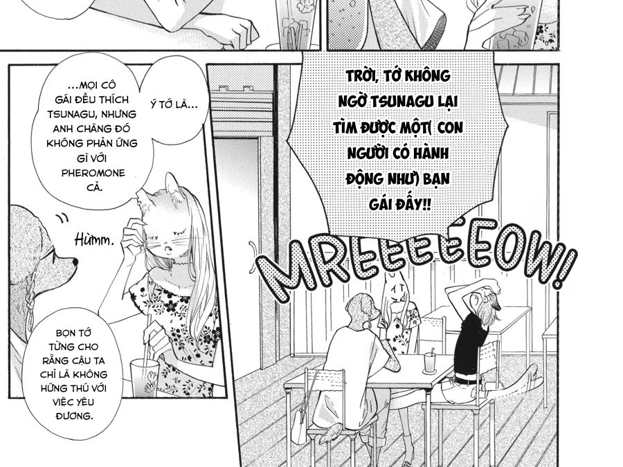 Kimi to Koete Koi ni Naru Chapter 14 - Trang 10
