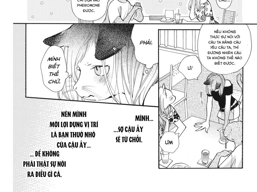 Kimi to Koete Koi ni Naru Chapter 14 - Trang 12