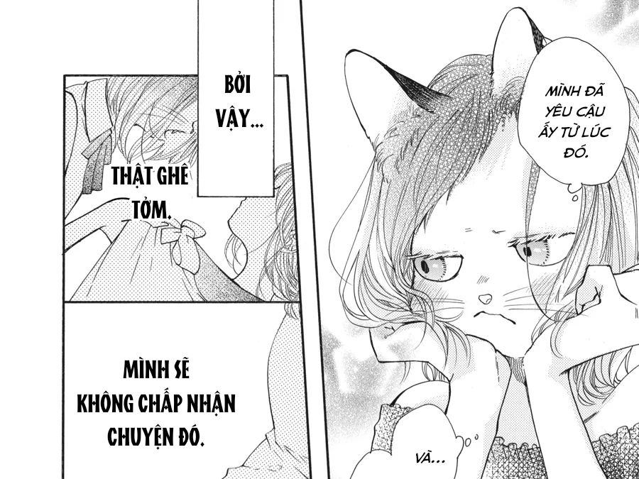 Kimi to Koete Koi ni Naru Chapter 14 - Trang 15