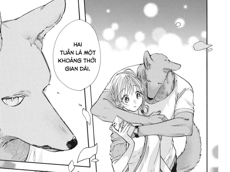 Kimi to Koete Koi ni Naru Chapter 14 - Trang 21