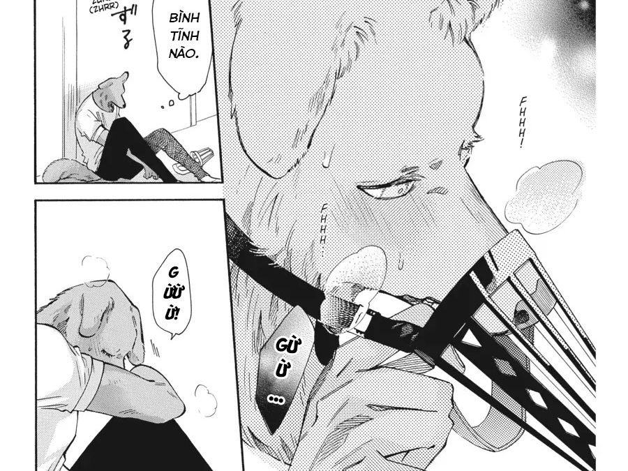 Kimi to Koete Koi ni Naru Chapter 16 - Trang 12