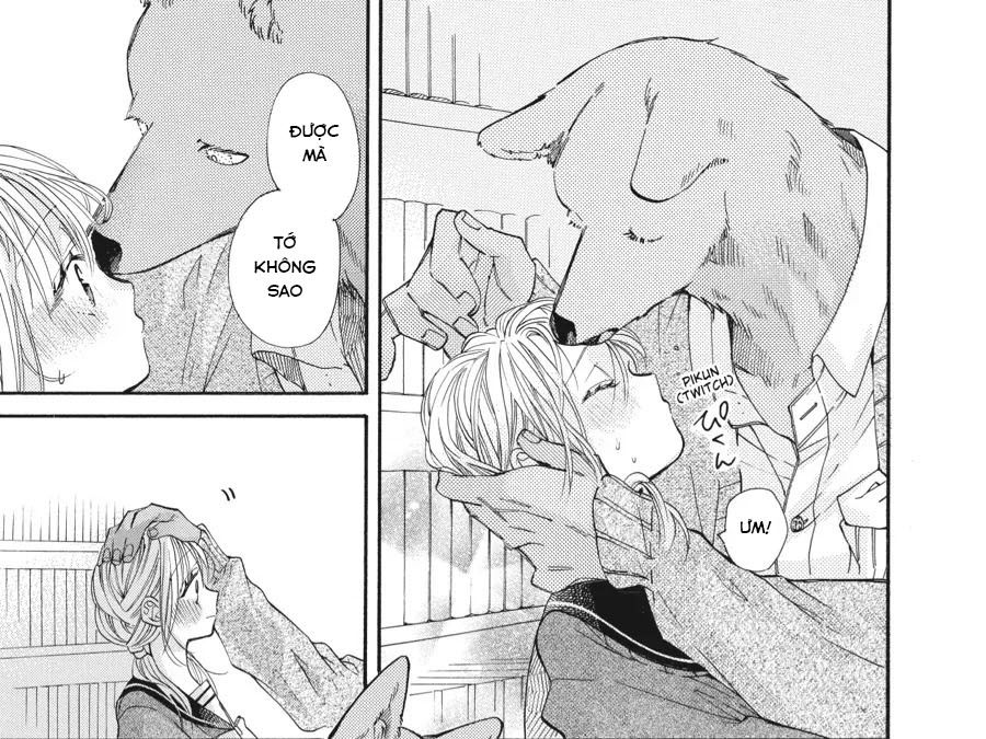 Kimi to Koete Koi ni Naru Chapter 17 - Trang 11