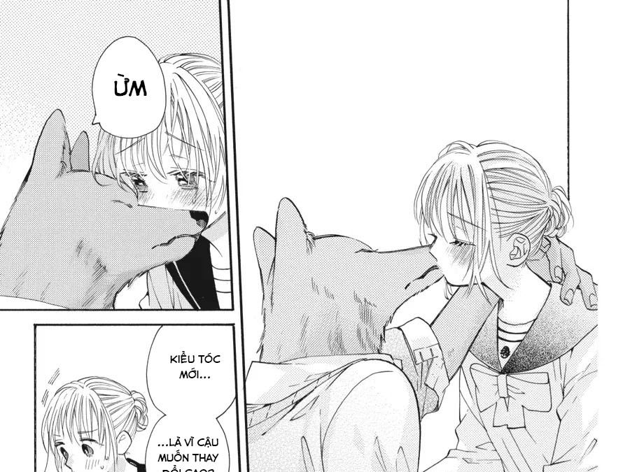 Kimi to Koete Koi ni Naru Chapter 17 - Trang 40