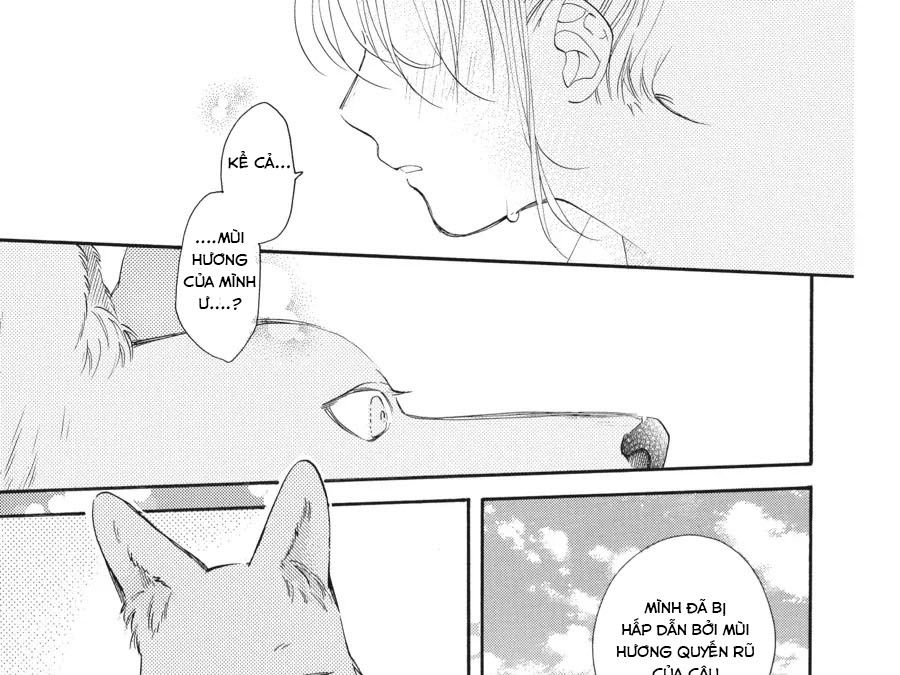 Kimi to Koete Koi ni Naru Chapter 17 - Trang 44