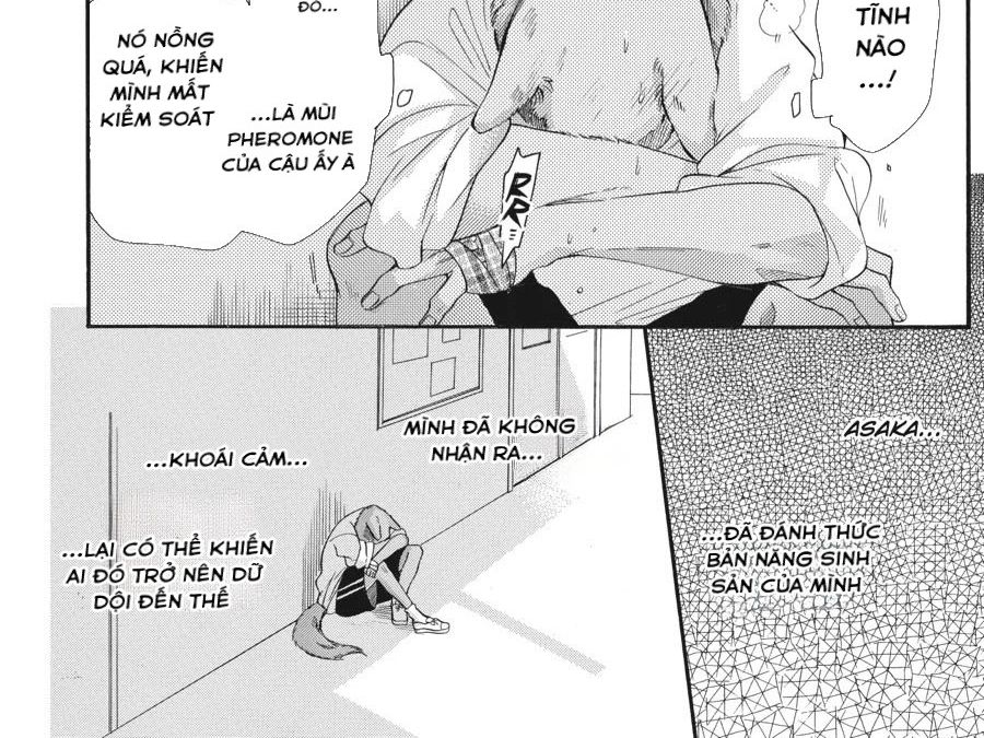 Kimi to Koete Koi ni Naru Chapter 3 - Trang 14