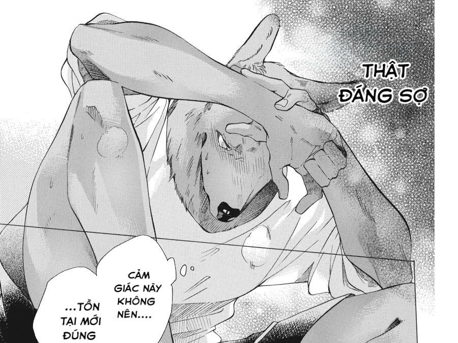 Kimi to Koete Koi ni Naru Chapter 3 - Trang 15