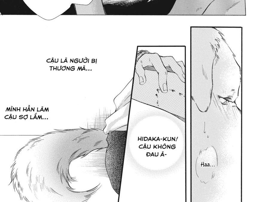Kimi to Koete Koi ni Naru Chapter 3 - Trang 16