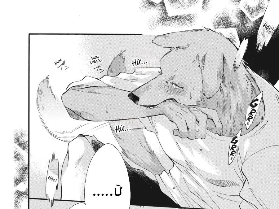 Kimi to Koete Koi ni Naru Chapter 3 - Trang 5