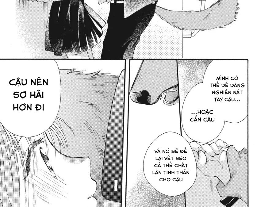Kimi to Koete Koi ni Naru Chapter 4 - Trang 31