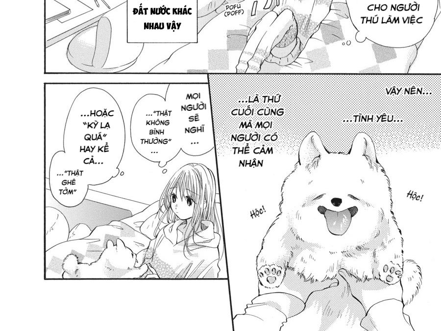 Kimi to Koete Koi ni Naru Chapter 5 - Trang 33