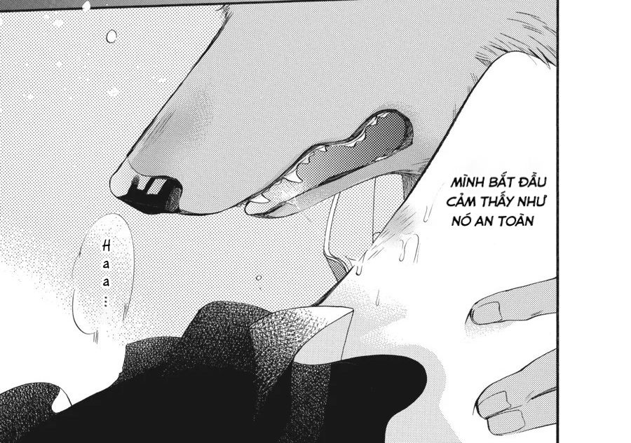 Kimi to Koete Koi ni Naru Chapter 5 - Trang 4
