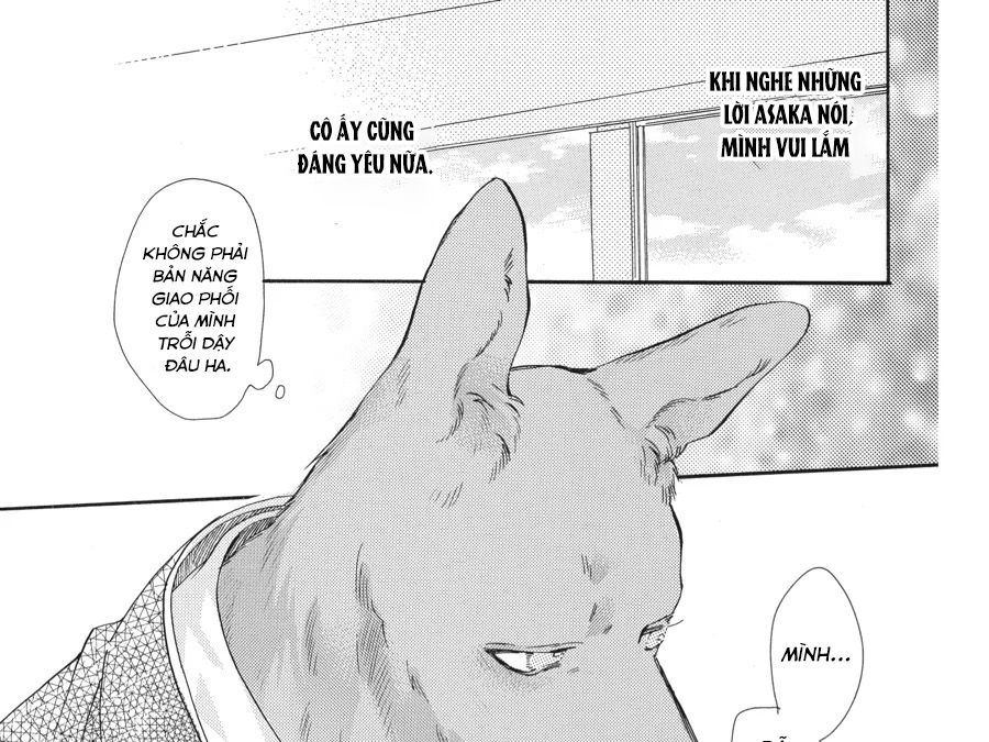 Kimi to Koete Koi ni Naru Chapter 8 - Trang 14