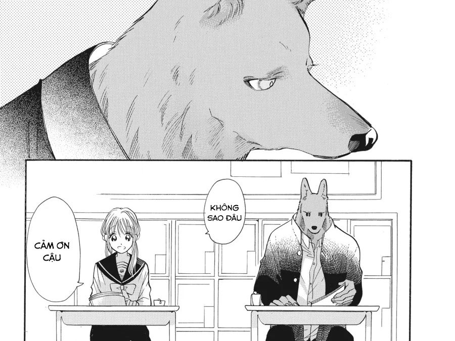 Kimi to Koete Koi ni Naru Chapter 8 - Trang 21