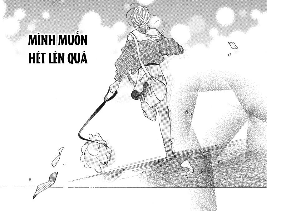 Kimi to Koete Koi ni Naru Chapter 9 - Trang 24
