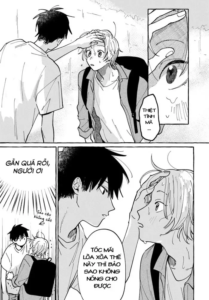Kimi To Nara Koi Wo Shite Mite Mo Chapter 1 - Trang 13