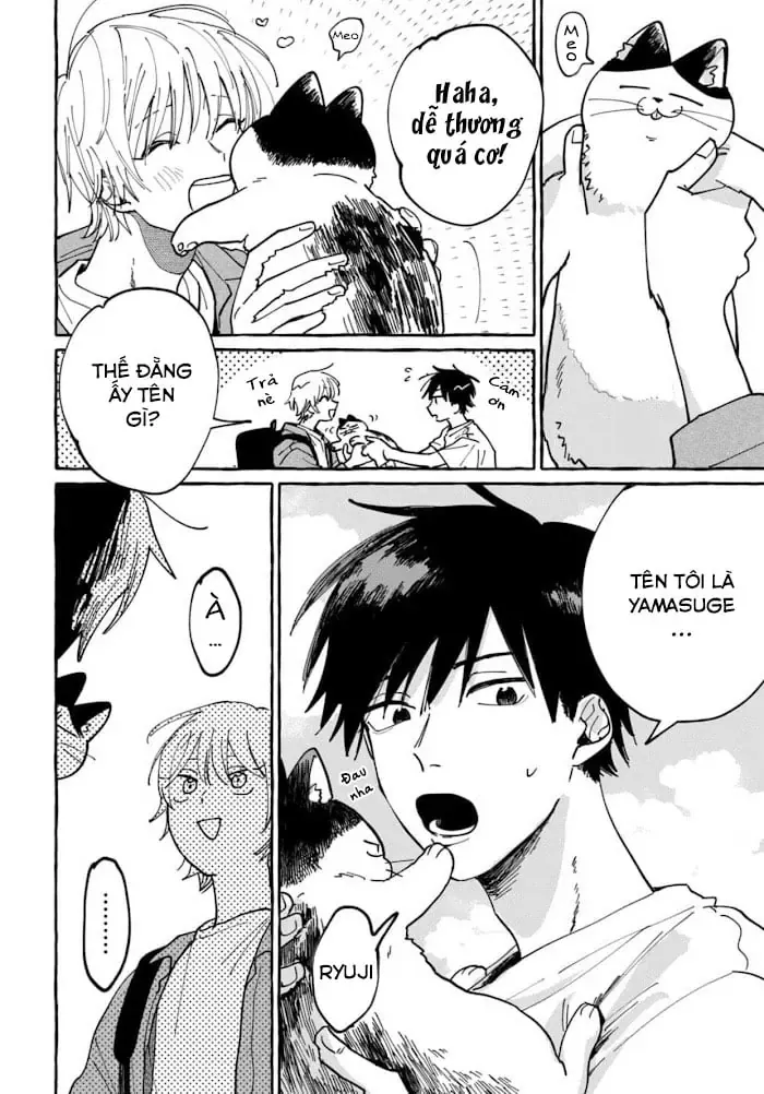 Kimi To Nara Koi Wo Shite Mite Mo Chapter 1 - Trang 9