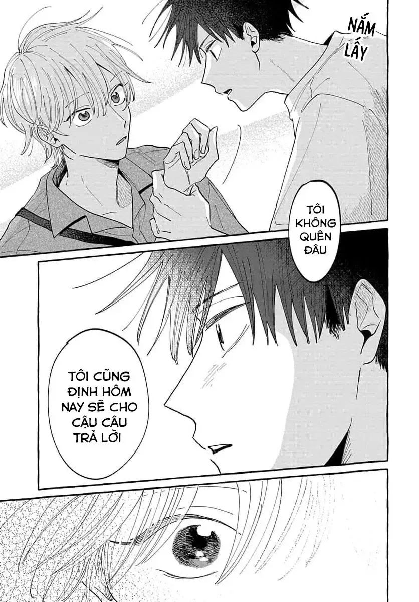 Kimi To Nara Koi Wo Shite Mite Mo Chapter 10 - Trang 12