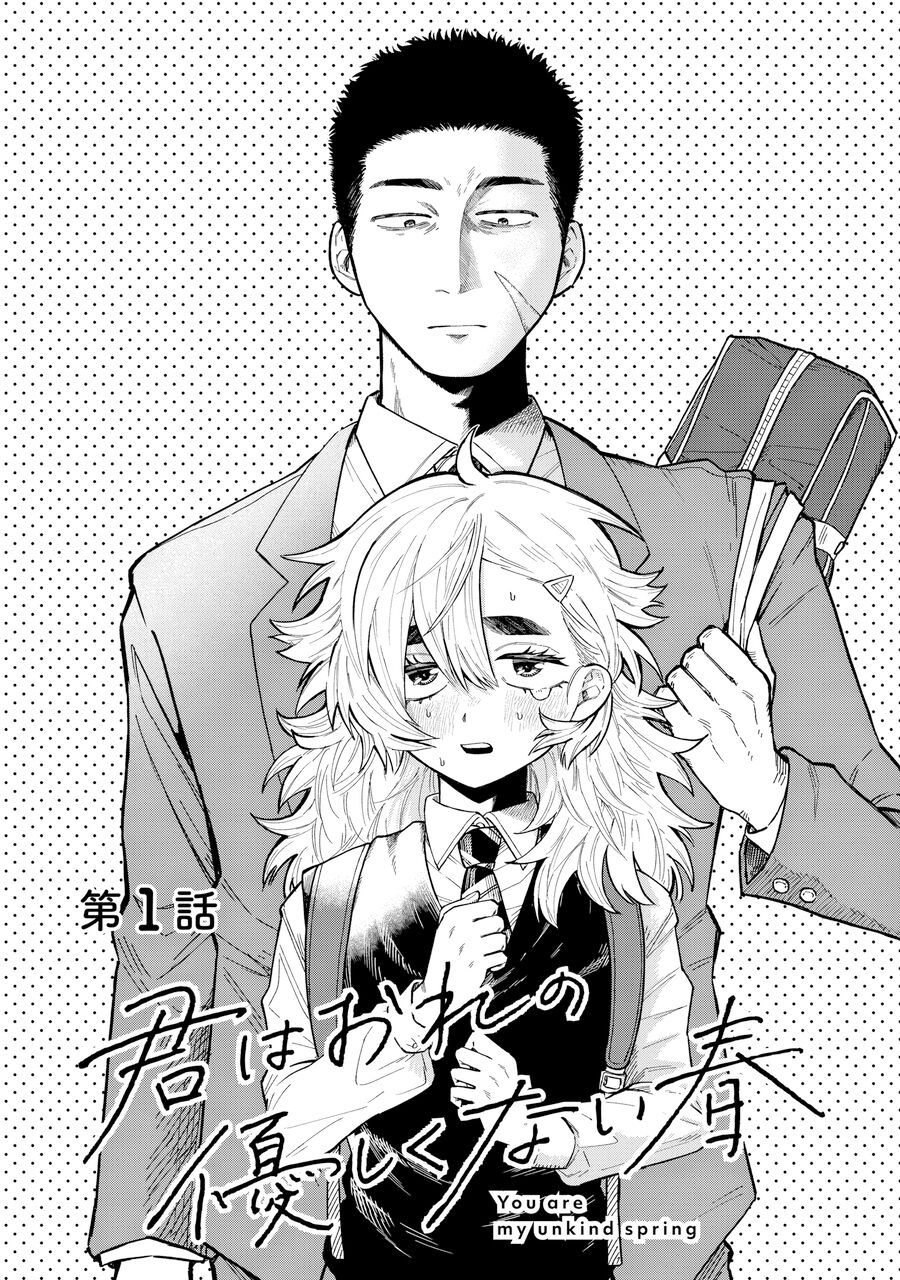 Kimi Wa Ore No Yasashikunai Haru Chapter 1 - Trang 3