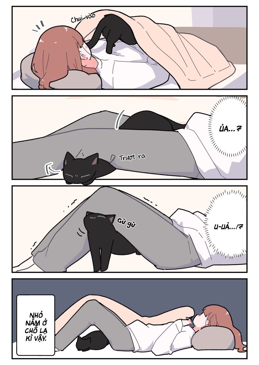 Kuroneko No Ohanashi Chapter 5 - Trang 2