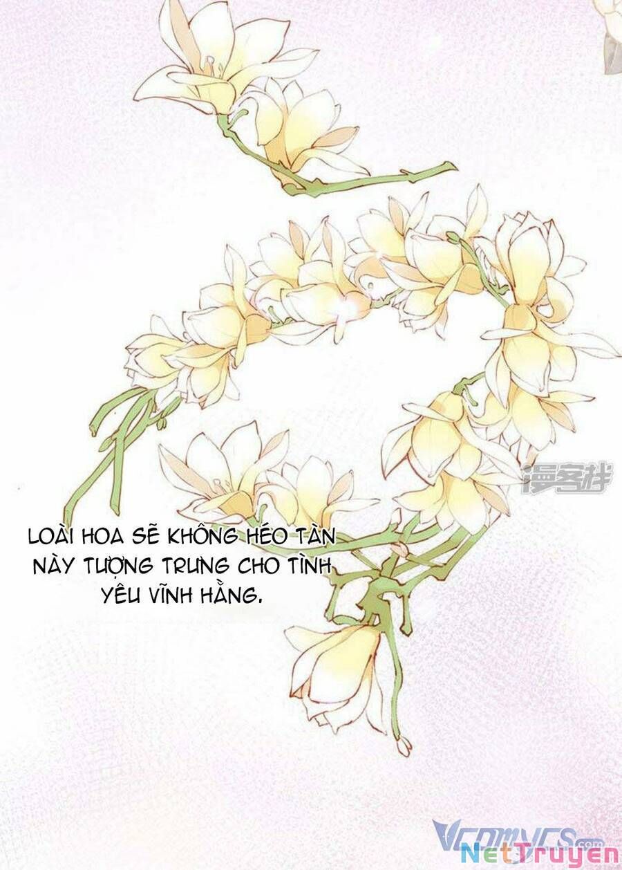 Kỳ Quái Tình Địch Lại Tăng Rồi Chapter 59 - Trang 23