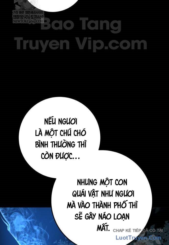 Kỵ Sĩ Lang Thang Chapter 18 - Trang 19