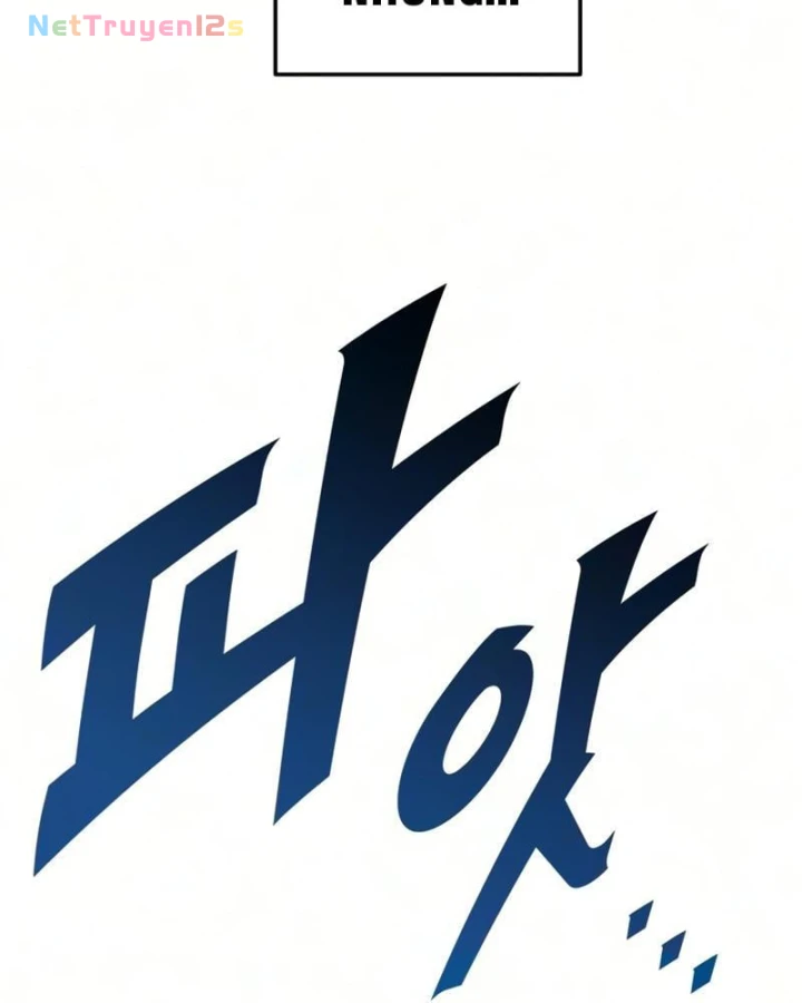 Kỵ Sĩ Lang Thang Chapter 47 - Trang 8