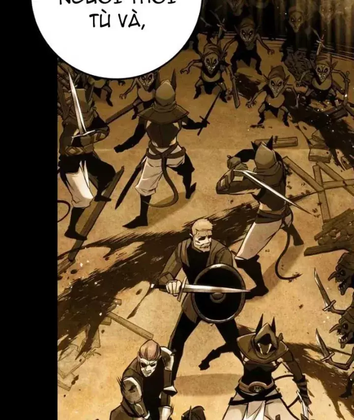 Kỵ Sĩ Lang Thang Chapter 52 - Trang 15