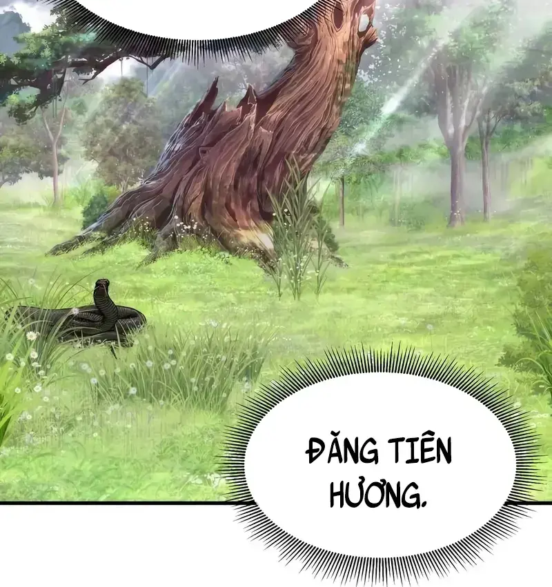 Ký Sự Tu Tiên Của Kẻ Hồi Quy Chapter 8 - Trang 6