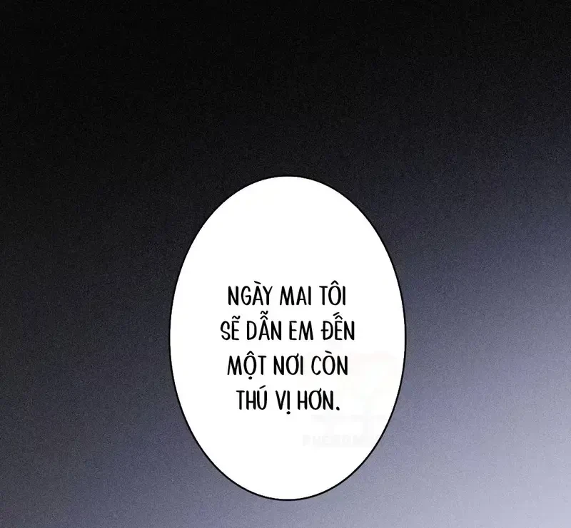 Lá Bài Định Mệnh Chapter 14 - Trang 38