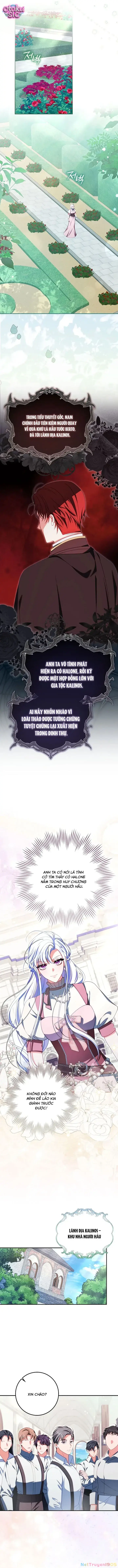 Là Nữ Chính Của Truyện Ngược, Nhưng Tôi Rất Mạnh Mẽ Chapter 15 - Trang 7