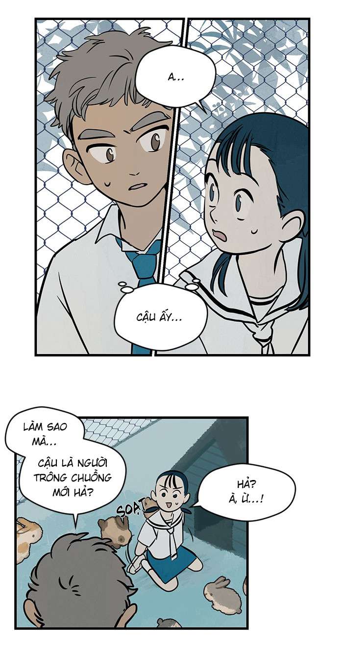 Lá thư giấu kín Chapter 3 - Trang 11
