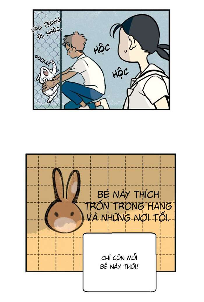 Lá thư giấu kín Chapter 3 - Trang 18