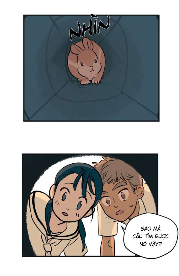 Lá thư giấu kín Chapter 3 - Trang 24