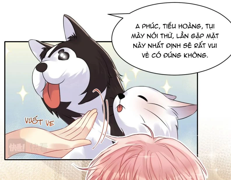 Lại Bị Bạn Trai Cũ Nhắm Đến Rồi Chapter 102 - Trang 13