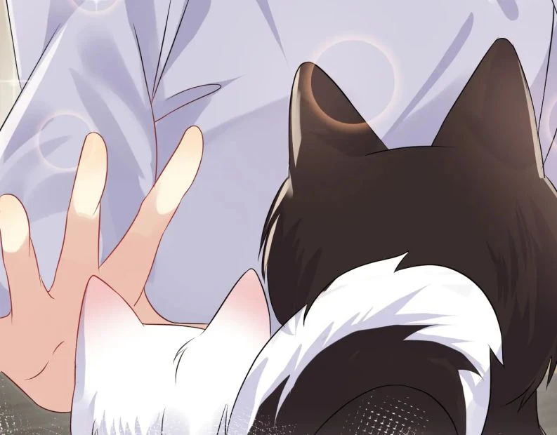 Lại Bị Bạn Trai Cũ Nhắm Đến Rồi Chapter 102 - Trang 15