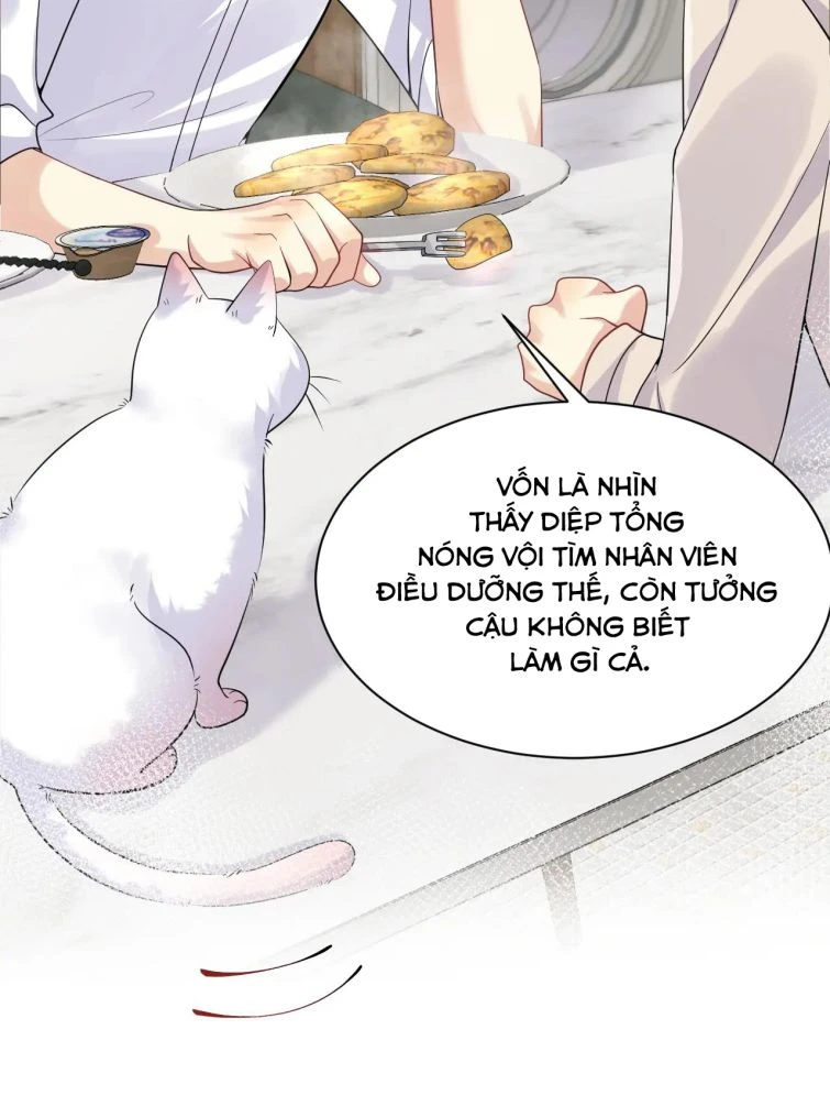 Lại Bị Bạn Trai Cũ Nhắm Đến Rồi Chapter 40 - Trang 16