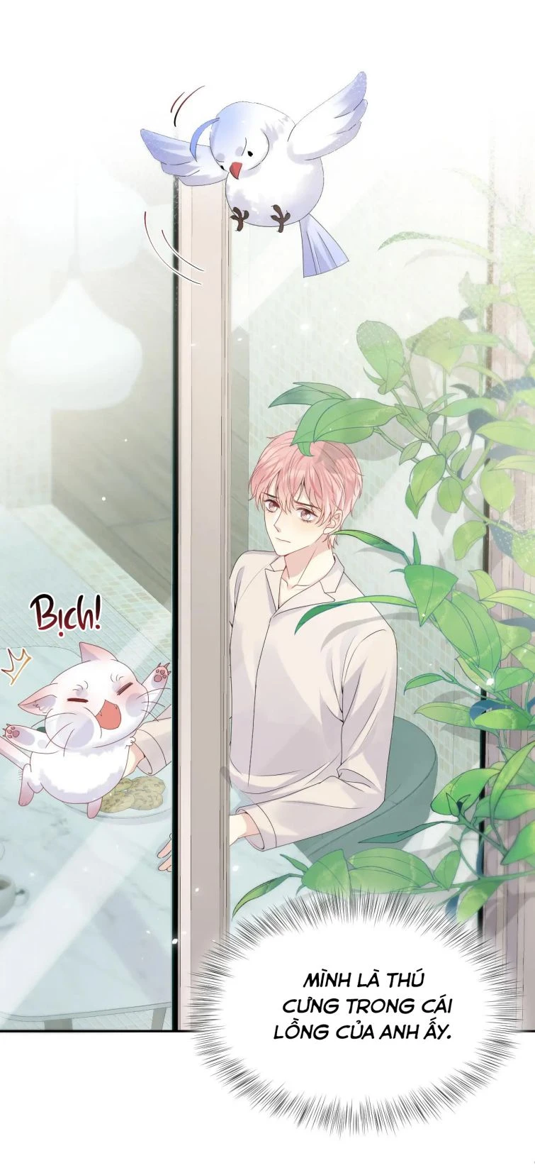 Lại Bị Bạn Trai Cũ Nhắm Đến Rồi Chapter 40 - Trang 19