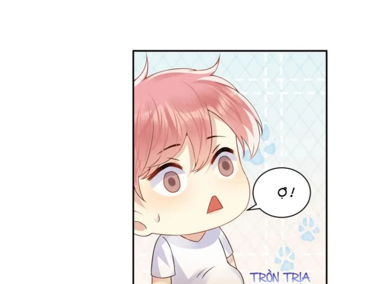 Lại Bị Bạn Trai Cũ Nhắm Đến Rồi Chapter 60 - Trang 3