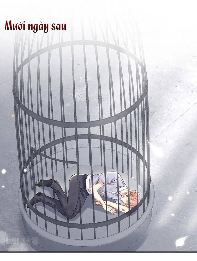 Lại Bị Bạn Trai Cũ Nhắm Đến Rồi Chapter 72 - Trang 5