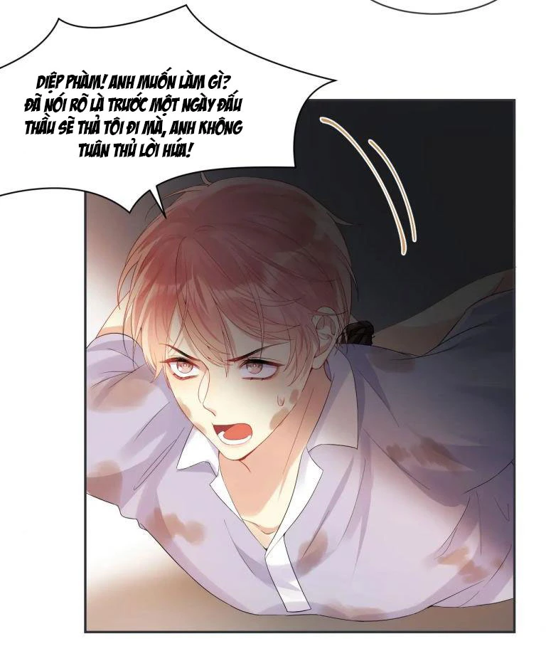 Lại Bị Bạn Trai Cũ Nhắm Đến Rồi Chapter 76 - Trang 4