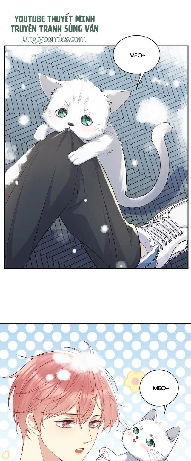 Lại Bị Bạn Trai Cũ Nhắm Đến Rồi Chapter 8 - Trang 13