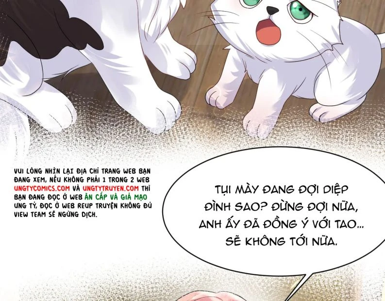 Lại Bị Bạn Trai Cũ Nhắm Đến Rồi Chapter 90 - Trang 11